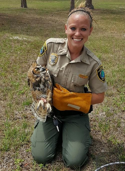 Officer Warram rescuing an injured owl